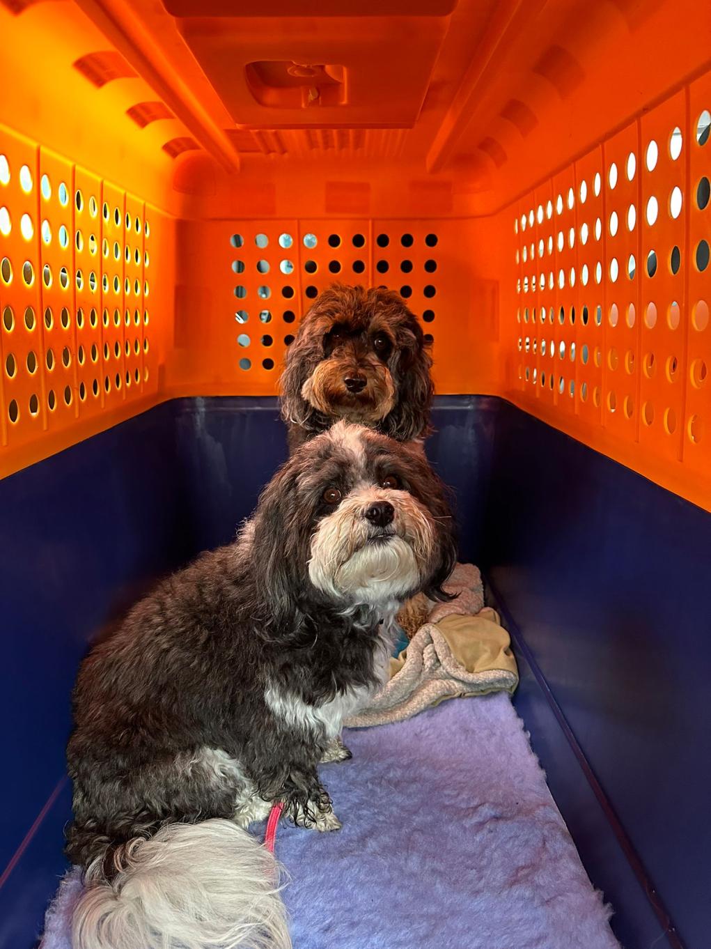 924a1a0b-9b4a-488b-85cf-eb97c10e7618