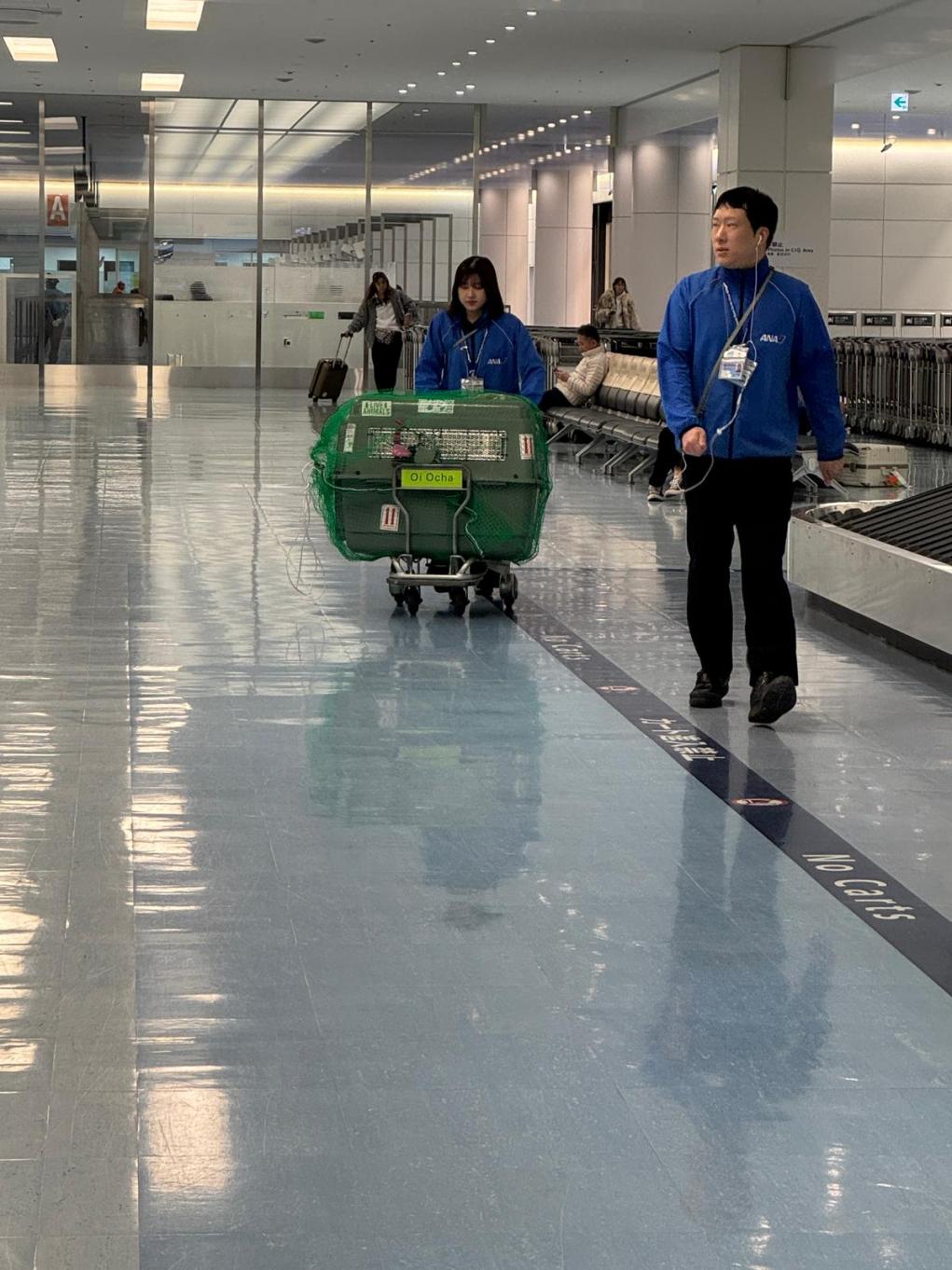 642f5152-6b39-4b0c-a3cc-d0834f330abd