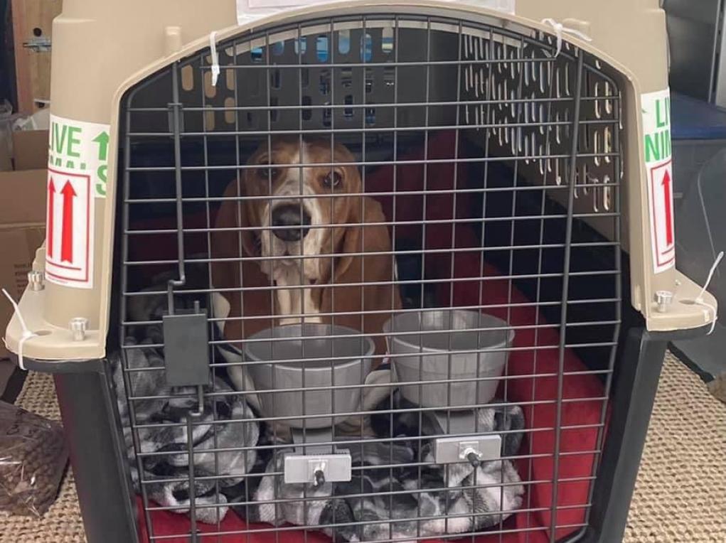 75B5498D-1D14-49B4-B737-A0F7BC652693