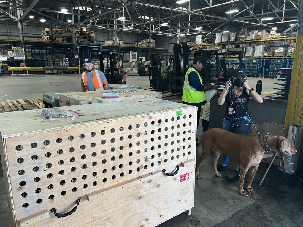 849B8B1B-FF2E-442D-BA47-1C4ECD96C17D