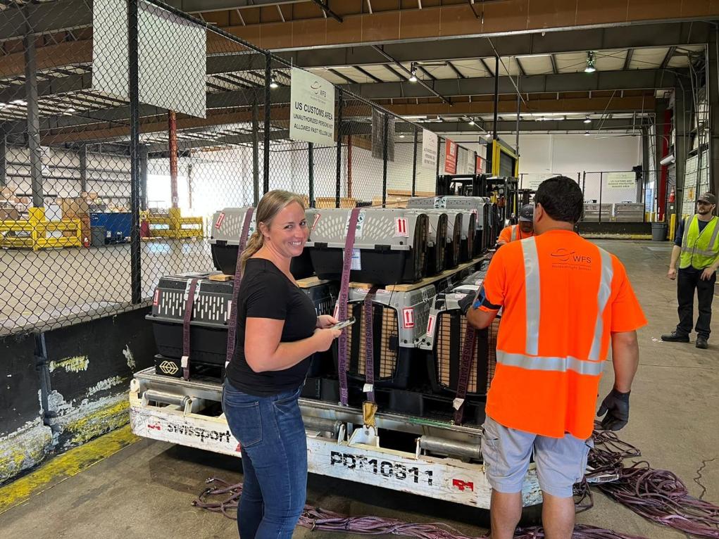 E1616E9D-F25D-4F4B-822D-54D640C80BF0