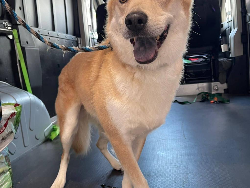 768C85E1-A297-4E1F-A32D-F5D3BF6EDB4F