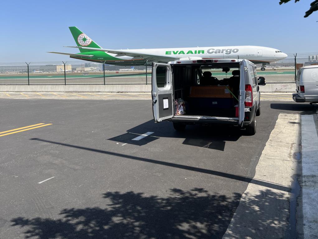 C98C2578-334C-460D-960B-62A6C02A1E0E