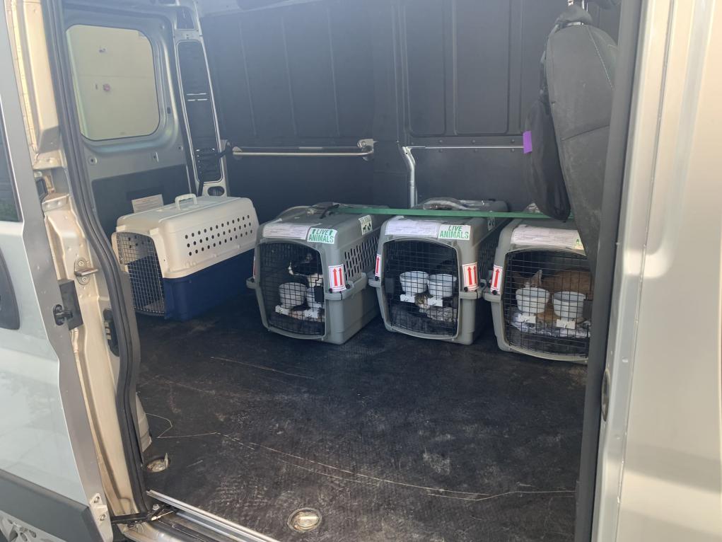 C2060A84-AEC4-4A4B-8D82-56F16D30A9BA