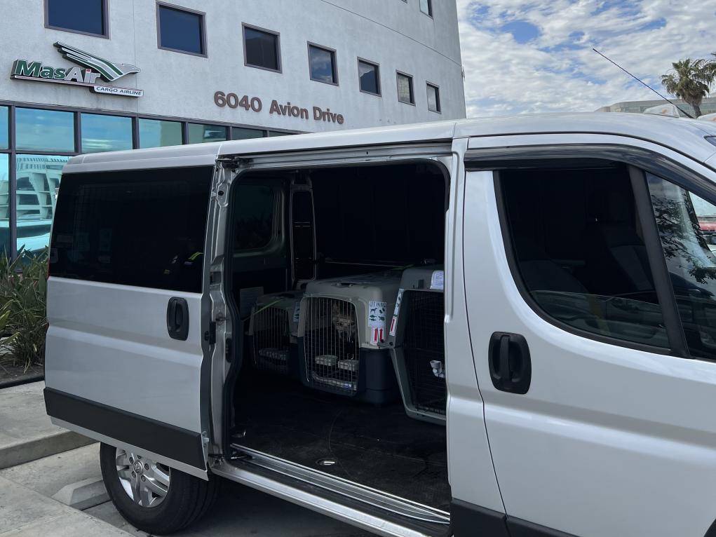 3202FFD1-4C89-42A0-BDB7-BC2B2E4D5F38