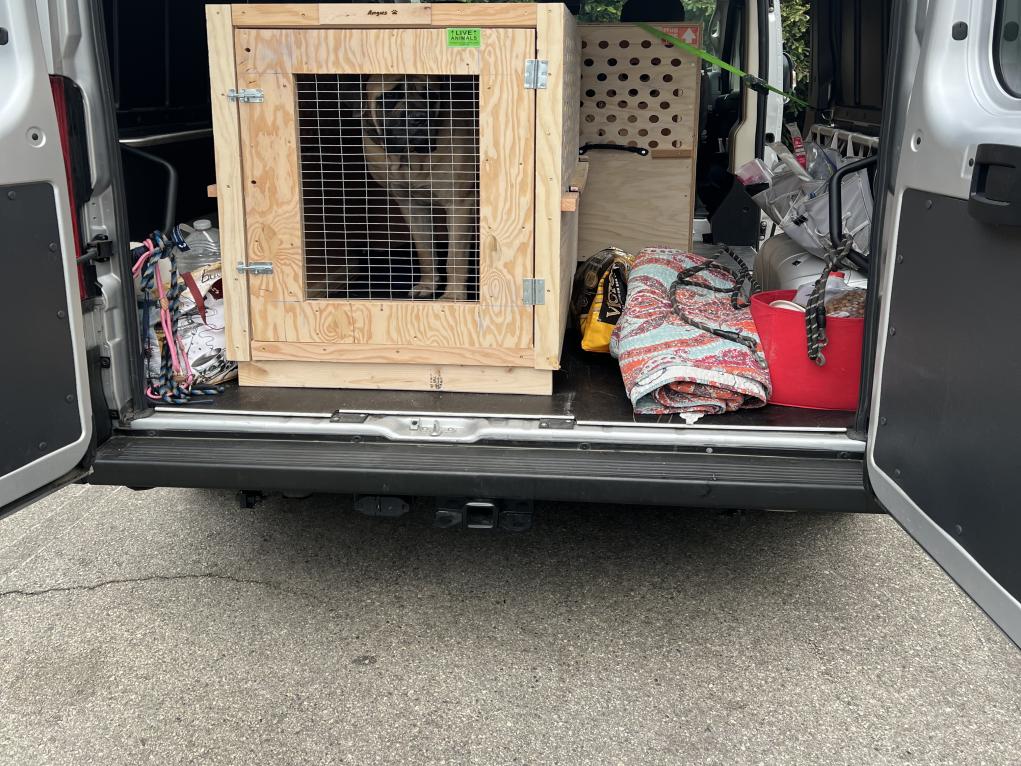 C3A6BD61-E15B-4500-944A-BB5F2C6B50D7