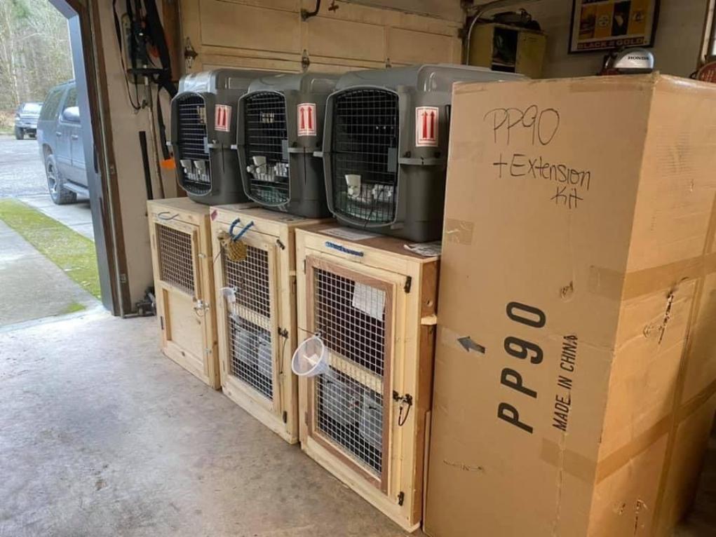 82F54328-2476-4250-BB48-3FB52C5AE995