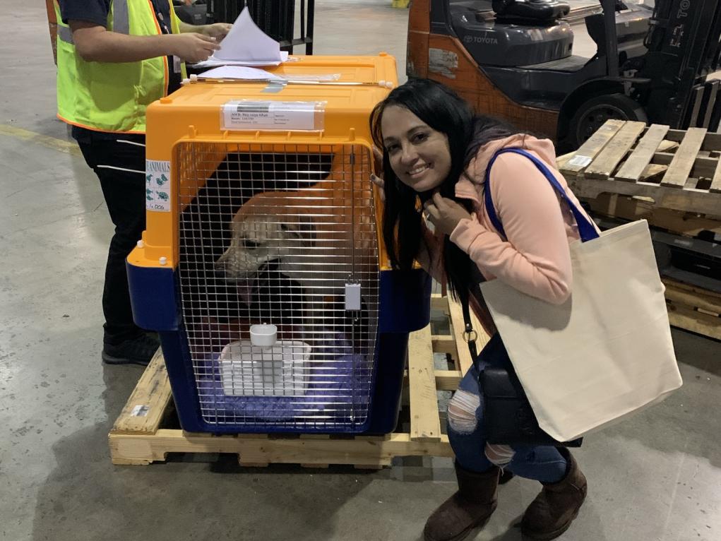 5BDD9EA7-1D5F-4A99-9C46-C2150753EBC5