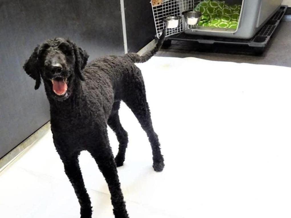 159E2410-1B2A-4A6D-9A21-217456D05D96