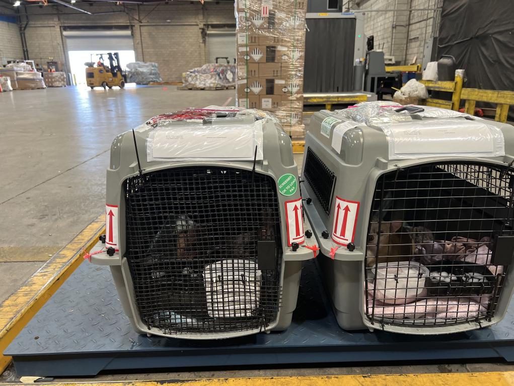 7A78B5BD-DDFC-4CDA-B3B4-0D624B11AE26