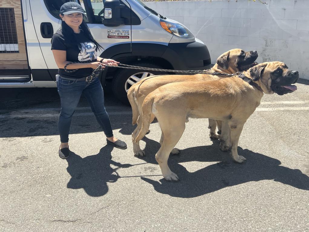 016DFAF0-32BE-4587-9527-87BA9DF68AEE