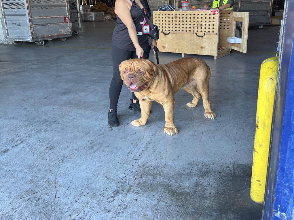 49B38BF0-7802-4F10-BE8B-729E2E11C472