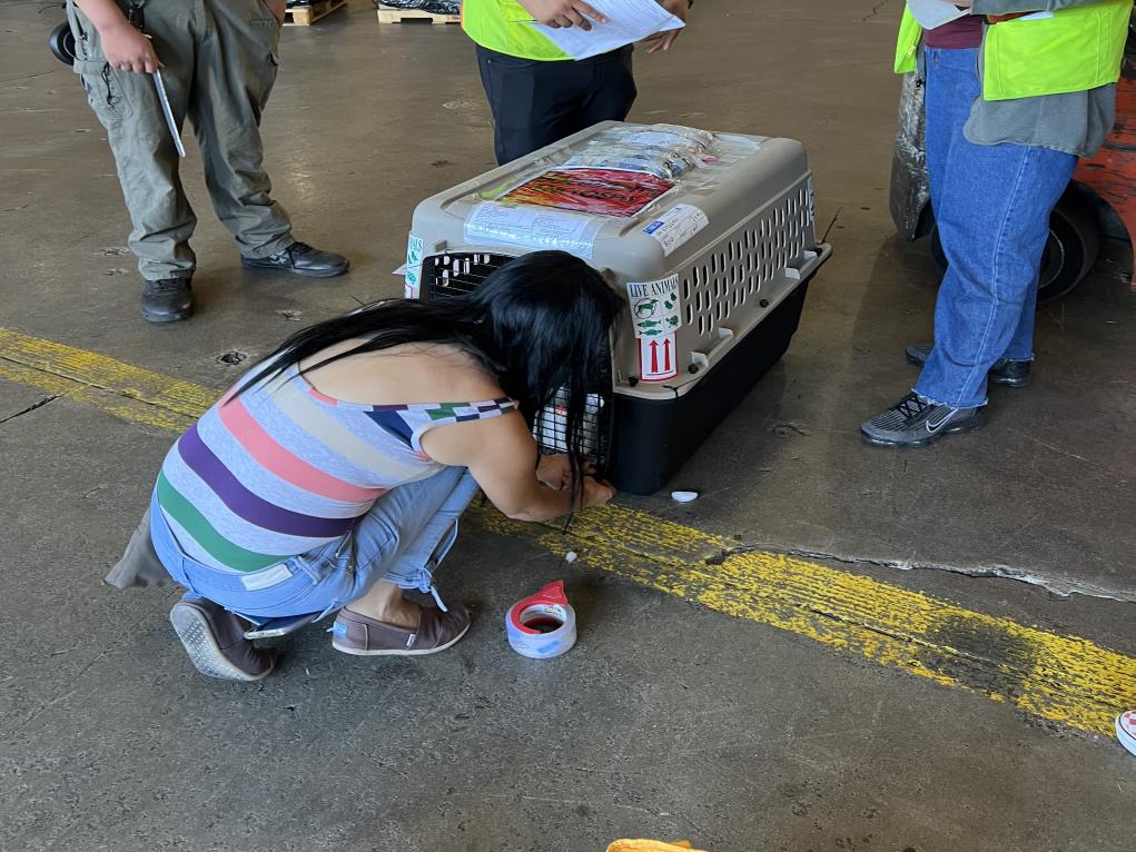 CD8F218E-FE52-4277-B28C-26BFD7FDBD71