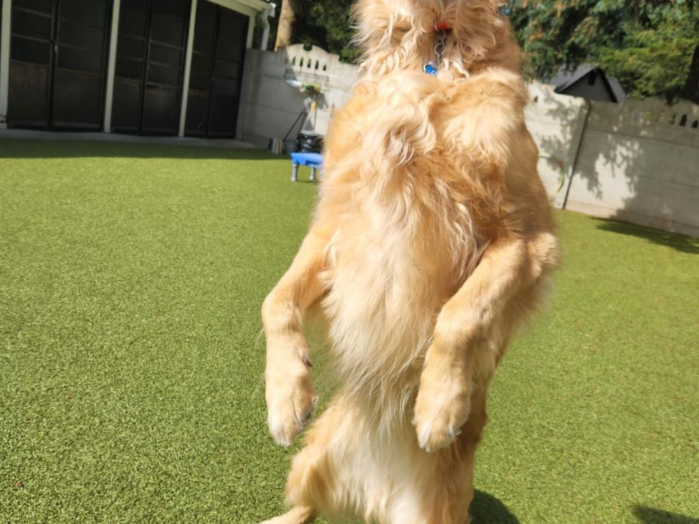 78177BFA-B047-4C9A-AF6B-F07BCCC9EBAD