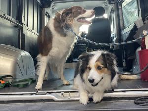 43BA82C4-2897-4D96-B8F6-DAAF4CC084D4