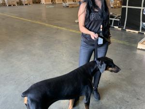 553D330F-272D-4F53-B163-D9E2950473EC