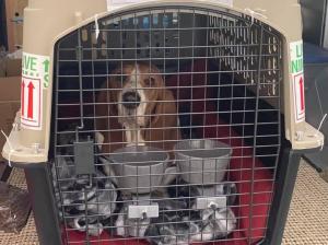 75B5498D-1D14-49B4-B737-A0F7BC652693