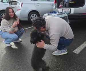 b8fd9333-d82b-4ccd-ab76-eca718be4cea