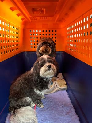 924a1a0b-9b4a-488b-85cf-eb97c10e7618