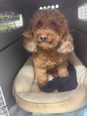 e7f18e94-649f-4e31-8bf4-9f13c286063d