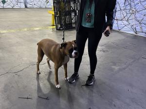 2CB53CD8-6B39-4067-8E57-BF467291A908