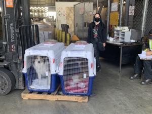 A060F342-0CE4-4EC1-B3DA-BE31598BFA43