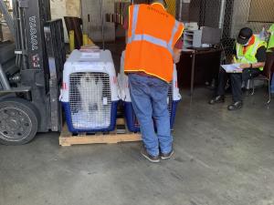 114D8436-5B7F-42A5-A0CE-42D3A81BB7FB