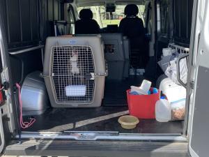 9AE63715-81DF-4636-B40E-54F81276B18C