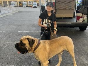 42269CE9-8D1A-4295-A68B-7D3270FD793B