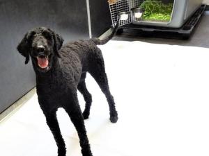 159E2410-1B2A-4A6D-9A21-217456D05D96