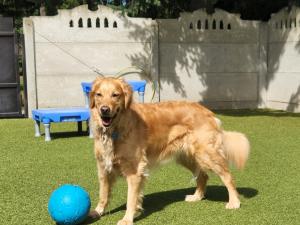 4477951C-18E6-4F53-AE05-B48F6B7C9C7D