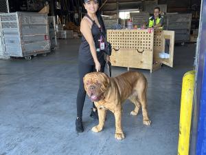 49B38BF0-7802-4F10-BE8B-729E2E11C472