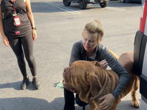 E2F32909-D54E-4EE9-B08B-84FAF41694B4