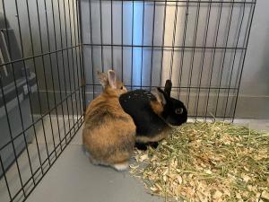 C1D1AE70-341A-42B1-8839-D17476D84AA3