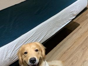 B331892C-3F5E-4249-B9A7-A6F277A2B03D