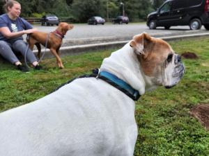 52CBB75B-EB28-4943-AFC4-EF8E00BCD6E7