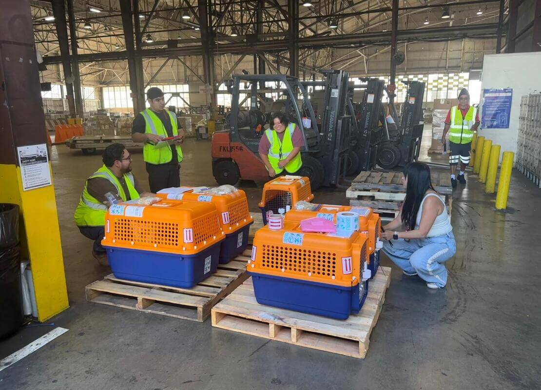 Pet travel crates staged for a large international relocation from California to Ireland
