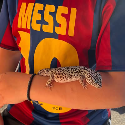 LAX Exotic animal pet transportation