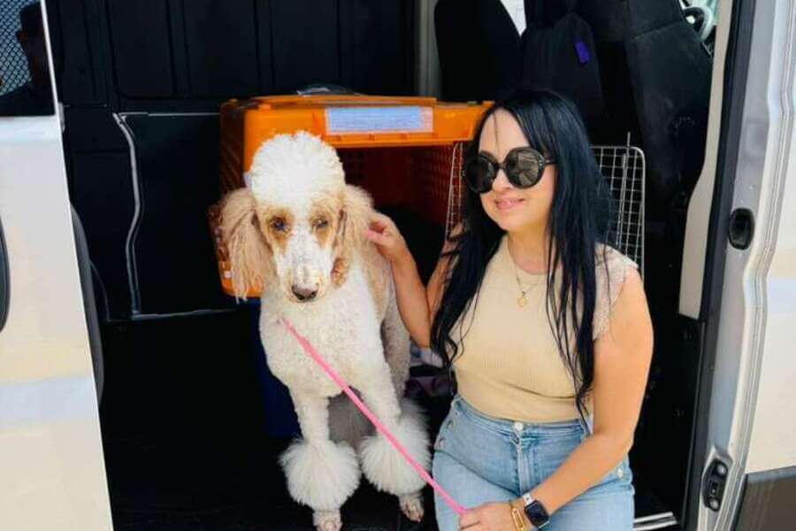 Lucy ready for international pet transport on travel day