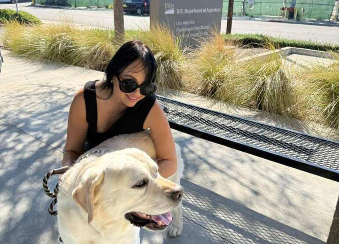 Pet Relocation to New Zeland