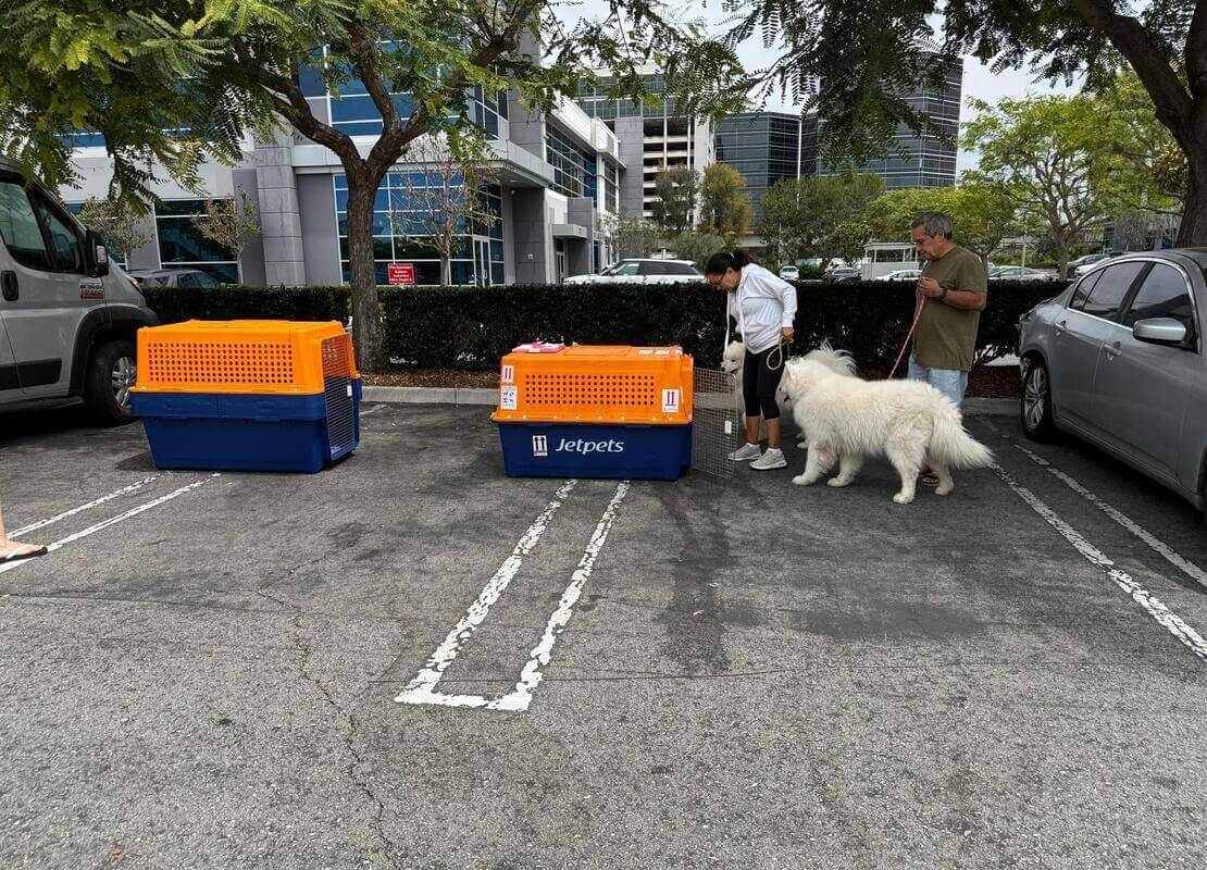 Pet crate measuring guide