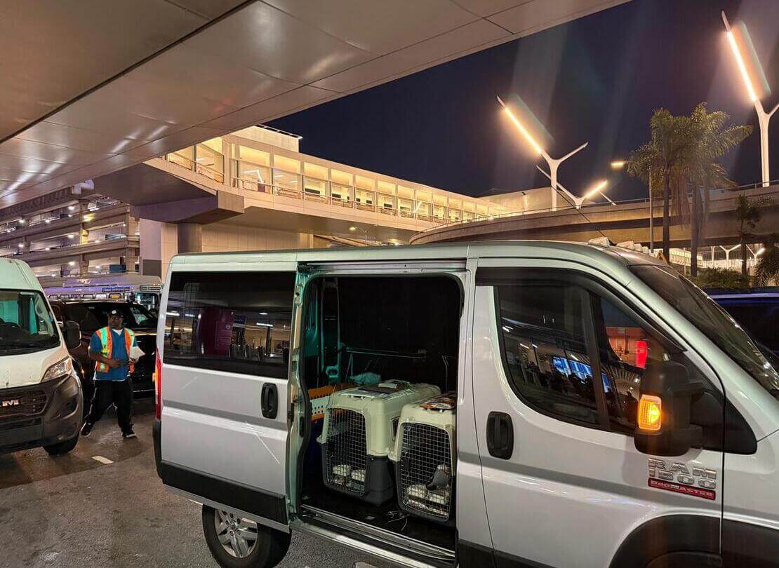 Pet transport Southern California