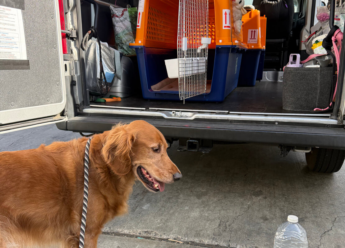 Moving with your pet to Costa Rica