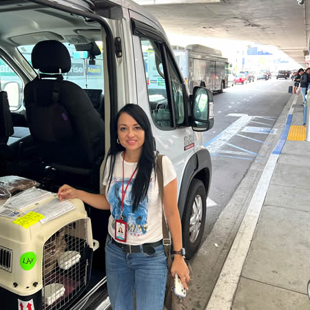 Professional international pet shipping service for dogs, cats, and exotic animals