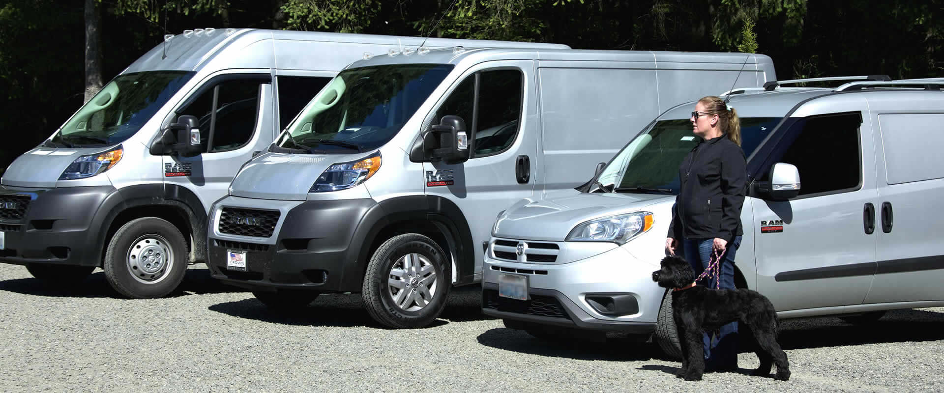 Safe Pet Transportation